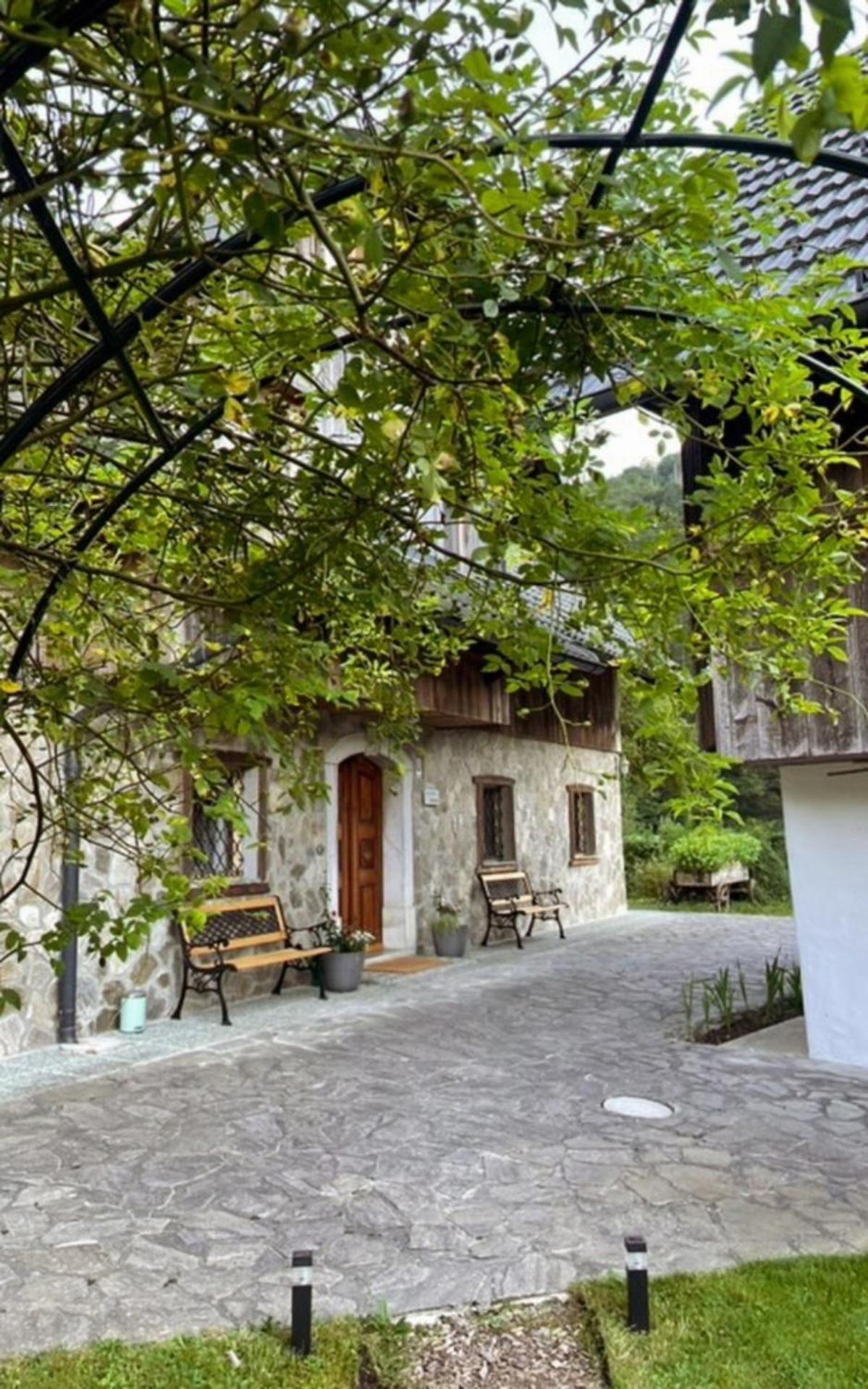 4 Elements Glamping & Apartments Bled Bagian luar foto